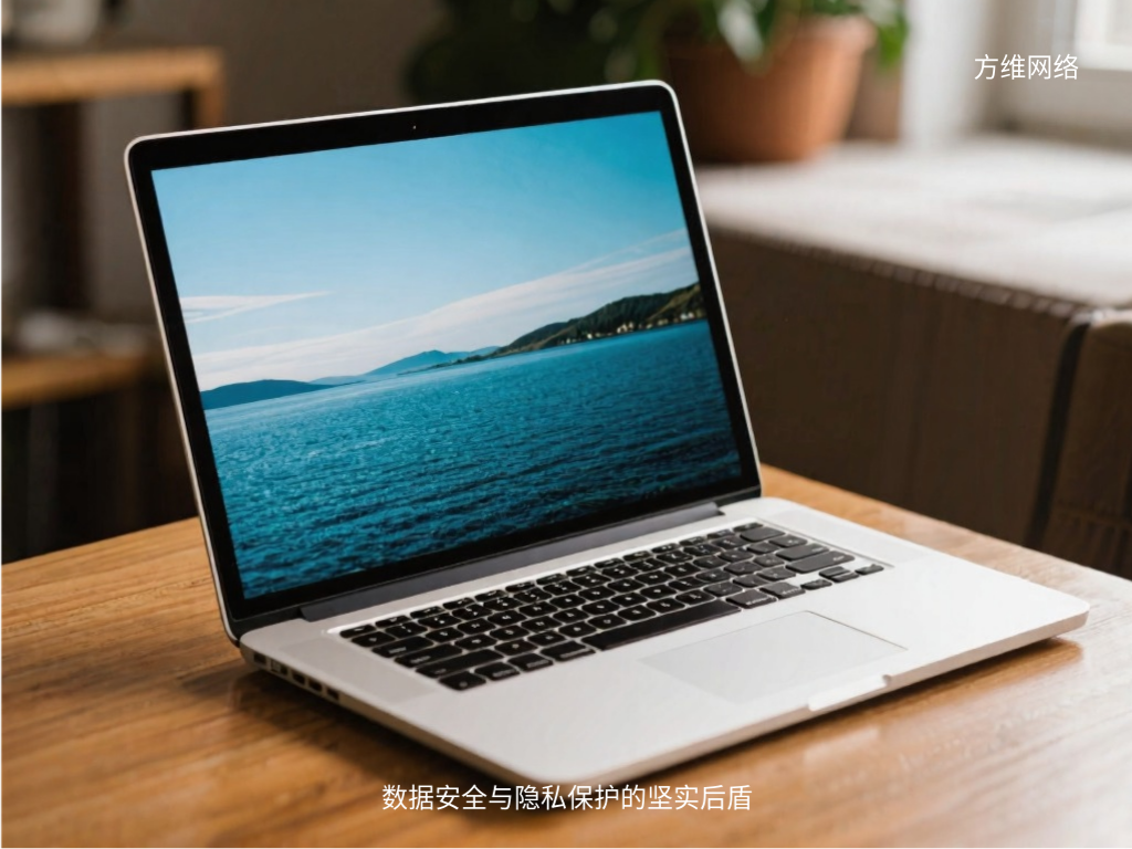 数据安全与隐私保护的坚实后盾