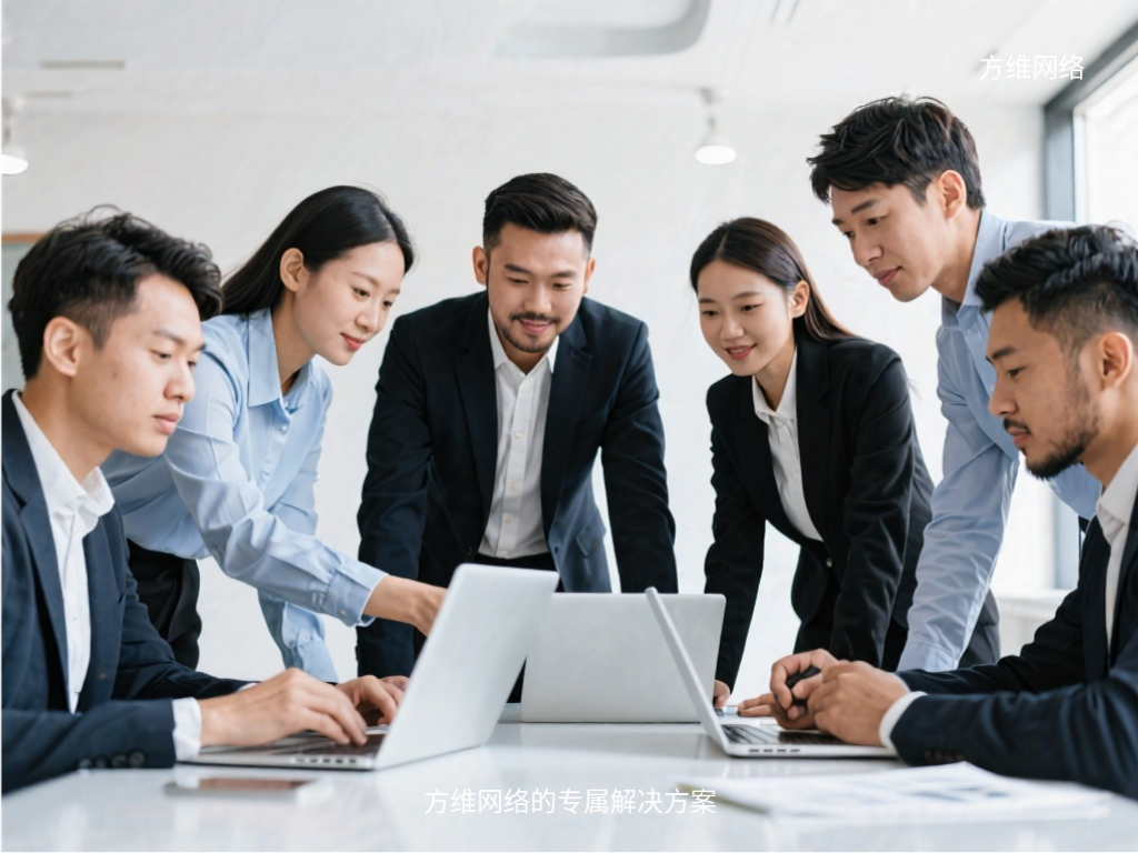 方维网络的专属解决方案