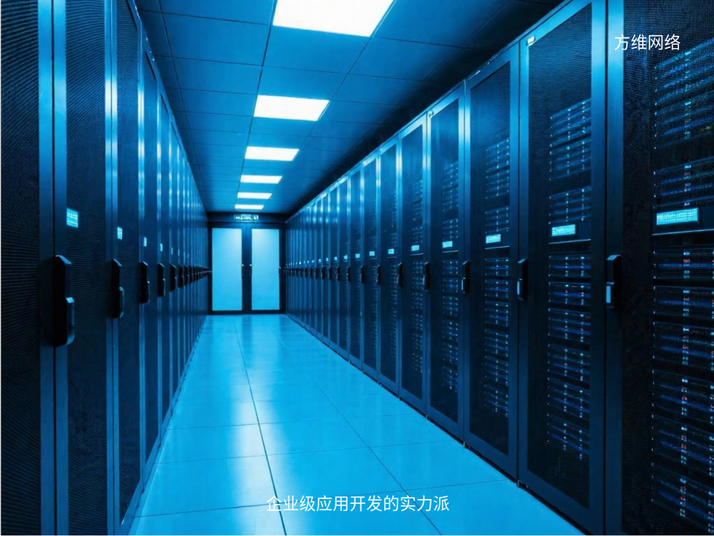 企业级应用开发的实力派