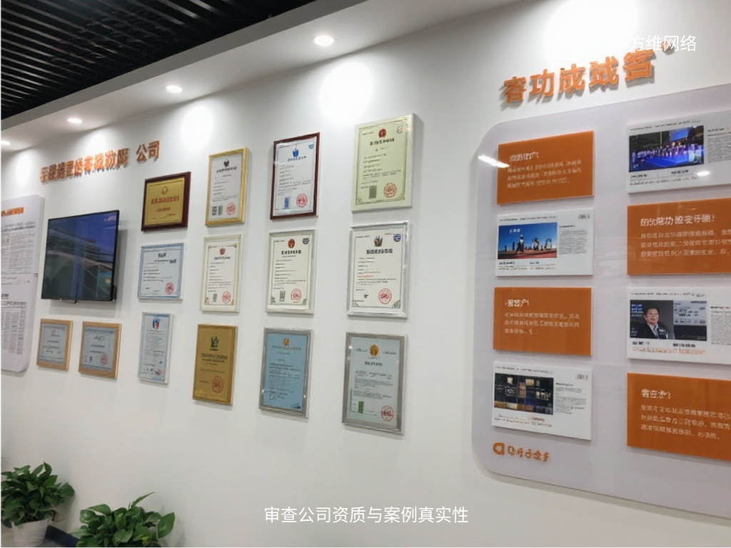 审查公司资质与案例真实性