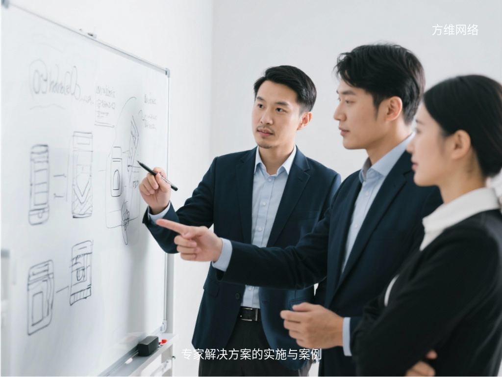 专家解决方案的实施与案例
