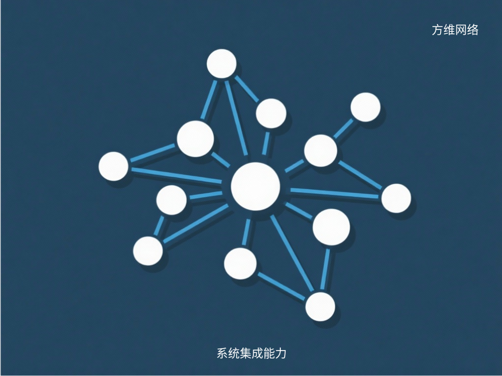 系统集成能力