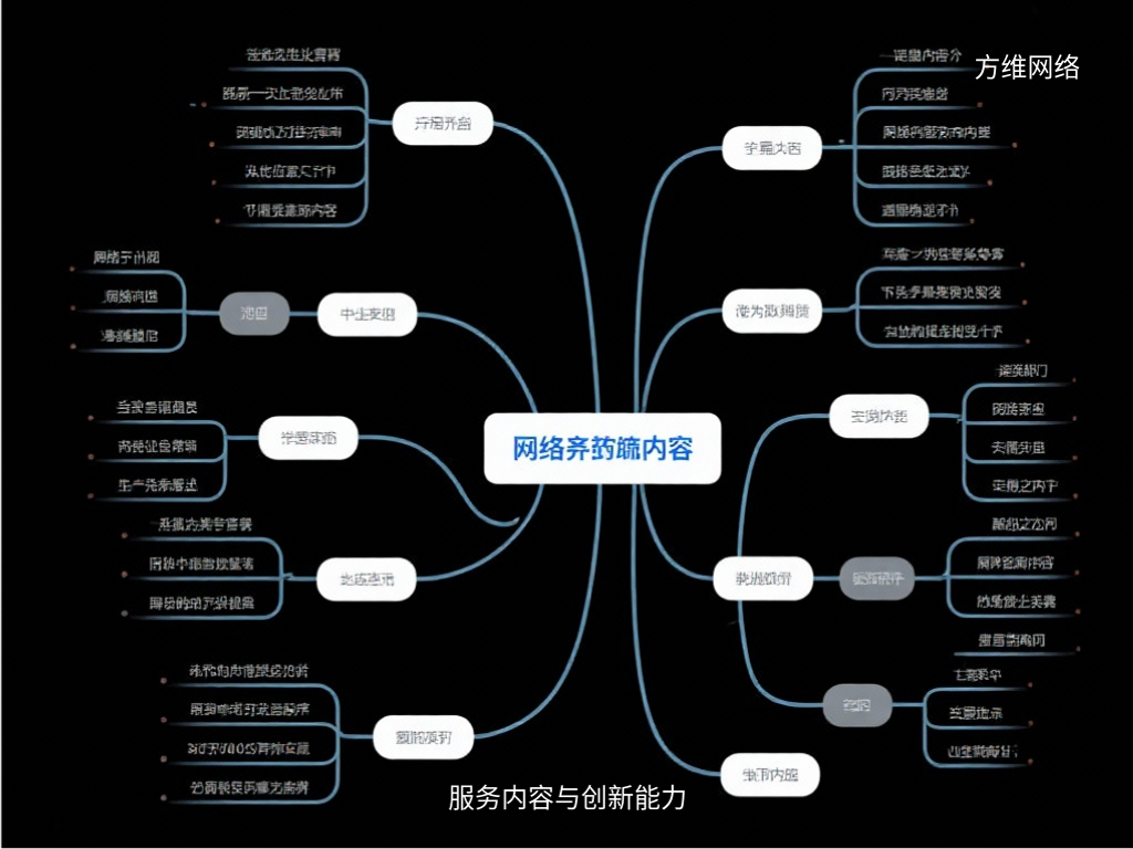 服务内容与创新能力