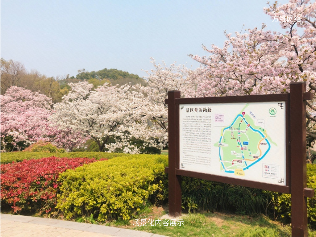 场景化内容展示