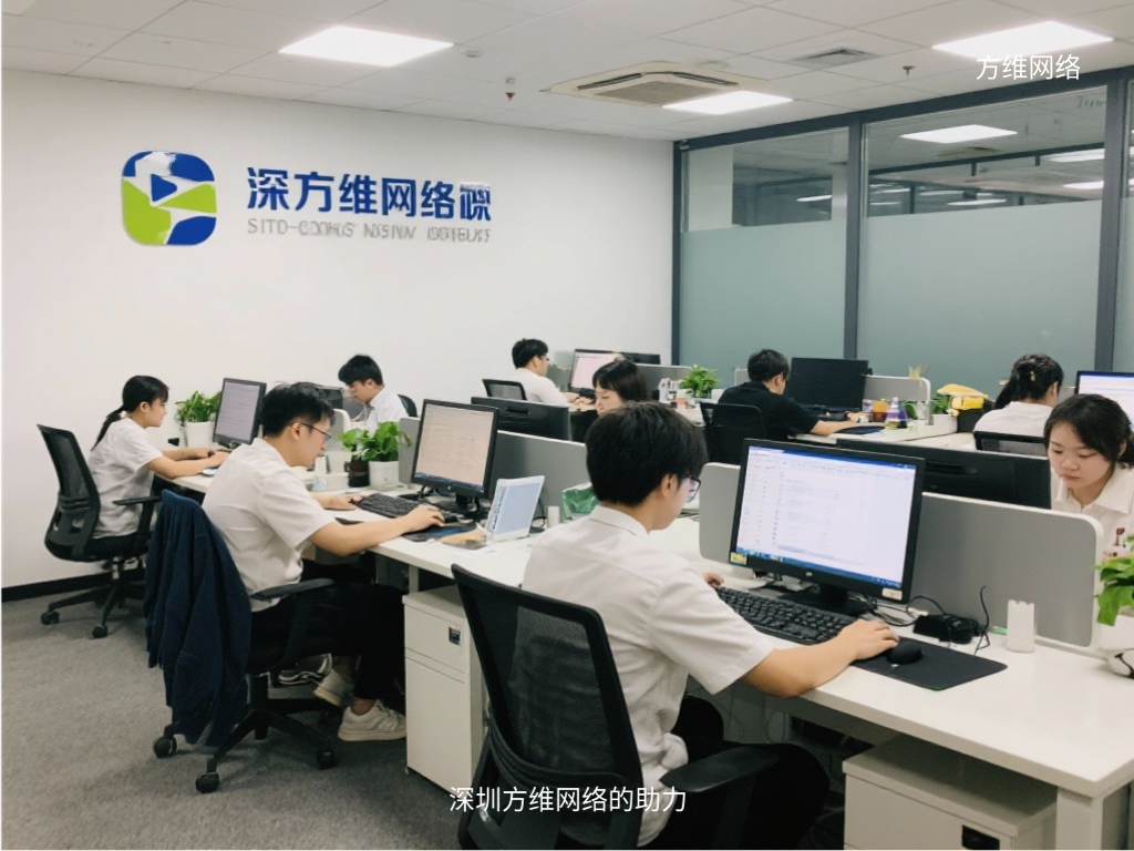 深圳方维网络的助力