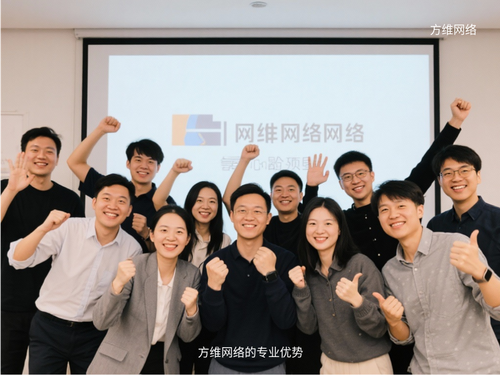 方维网络的专业优势
