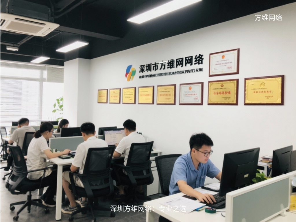 深圳方维网络:专业之选