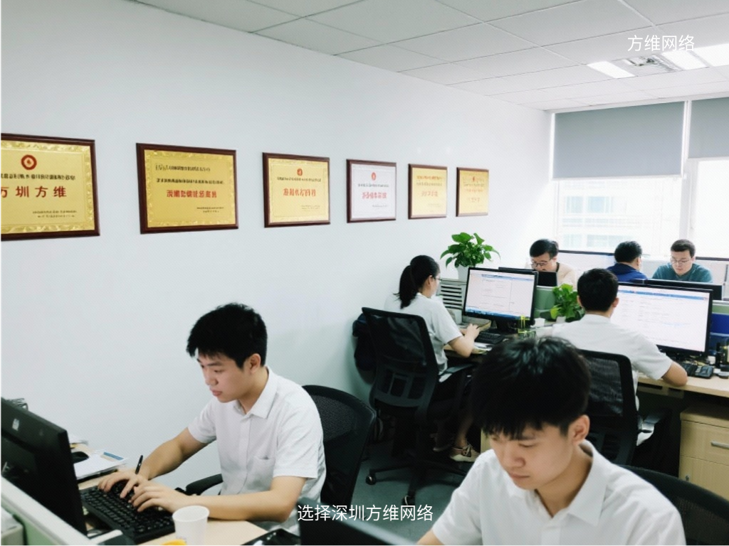 选择深圳方维网络
