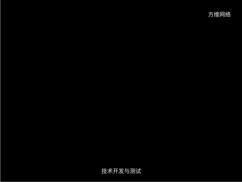 技术开发与测试
