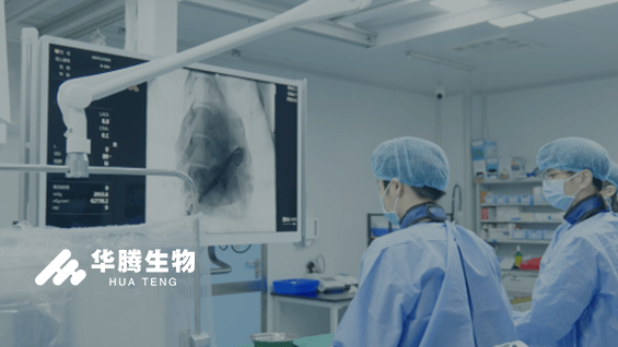 外贸网站设计